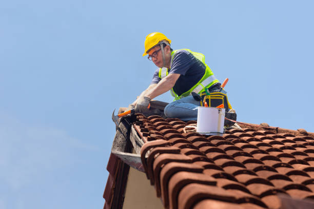 Best Rubber Roofing (EPDM, TPO)  in Bee Ridge, FL